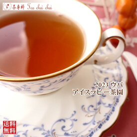 紅茶 茶葉 ウバ アイスラビー茶園 BOP1/2023 50g【送料無料】 セイロン メール便 紅茶専門店