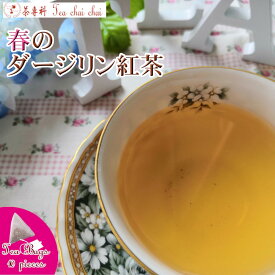 紅茶 ティーバッグ 10個 ティチャイチャイ お買い得 春のダージリン紅茶【送料無料】 ダージリンティー 大容量 まとめ買い 大袋 業務用 ギフト ティーライフ