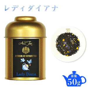 fB_CAi (fBOC) AZTEA g XJ eB[obO t v[g 蕨  ʓ  IW xKbg  fB[OC fB[_CAi fB[ _