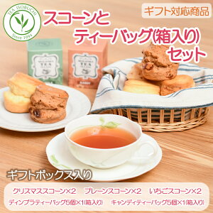 NX}XXR[ v[XR[  Eo [teB[ NX}XMtg{bNXZbg  gX ZCeB[ ~NeB[ pَq N[eB[ Ăَq XC[c