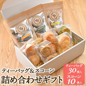 XR[ 2 5  eB[obO 10 3 l߃MtgZbg  gX  ZCeB[ ACXeB[ Xg[g eB[pbN pَq Ăَq XC[c 