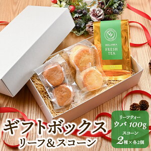 NX}XXR[ v[XR[  Eo [teB[ NX}XMtg{bNXZbg  gX ZCeB[ ~NeB[ pَq N[eB[ Ăَq XC[c