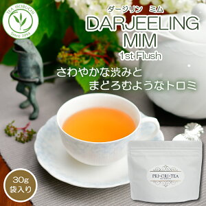 yBF|Cg10{z_[W t@[XgtbV ~ 30gܓ g t  Xg[g [teB[ ACXeB[ 蕨 Mtg v[g  a  eB[^C 