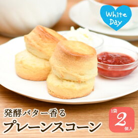 スコーン プレーン お取り寄せ 2個入 英国 クロテッドクリーム 紅茶に合う 手作り 焼き菓子 アフタヌーンティー ギフト 本気で作った 紅茶専門店