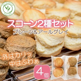 ［プレーン アールグレイ］紅茶専門店 の 手作り スコーン 2種類（4個） 焼き菓子 スイーツ デザート お菓子 アフタヌーンティー 紅茶 クロテッドクリーム ジャム 常温 贈り物 プレゼント 女性 誕生日 お取り寄せグルメ お茶会 ギフト