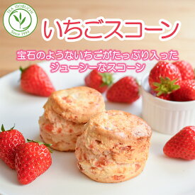 ［いちご］紅茶専門店 の 手作り スコーン いちご ストロベリー 苺 イチゴ2個入 焼菓子 スイーツ デザート 朝食 お菓子 アフタヌーンティー 英国菓子 紅茶 クロテッドクリーム ジャム 常温 手土産 贈り物 ギフト 女性 お土産 美味しい