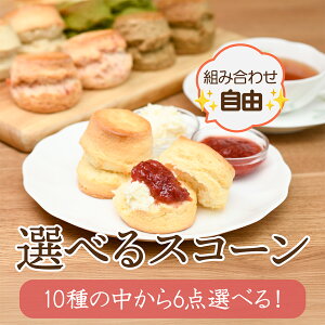 XR[Zbg 10ނIׂ S   gX  v[ A[OC  [Y}[  ZC{[ 12(2×6) pَq At^k[eB[ g 