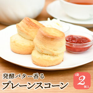 yBF|Cg10{zv[ XR[ yo^[  gX p NebhN[ 2 Ăَq XC[c fU[g َq  H At^k[eB[ g W 