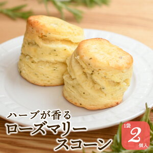 y15|Cg20{zXR[ [Y}[  gX ZC{[ 2 ĉَq XC[c H َq ܂ At^k[eB[ pَq g NebhN[ Mtg 