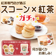 ＼ スコーン × 紅茶 ガチャ ／ おうち クリームティー 福袋 お楽しみ セット 送料無料 人気 スコーン 2…