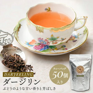 yBF|Cg10{×N[|zg _[W eB[obO 50 p e Ɩp g t  ㎿ EO Ch ZJhtbV Xg[g _[WeB[ eB