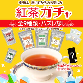 【本日ポイント3倍】＼ 紅茶ガチャ 第2弾 ／ 紅茶 ティーバッグ 1000円ポッキリ 送料無料 ハズレなし セイロンティー 紅茶専門店 お試し 福袋 アッサム ウバ ルフナ ヌワラエリア キャンディ マサラチャイ 迷ったらこれ