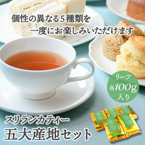 g t XJ 5YnZbg 100gܓ×5 fBu kGA Eo LfB ti gX [teB[ V ZCeB[ ACXeB[ ~NeB[ `C 