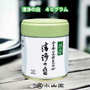 京都 宇治 丸久小山園 裏千家 坐忘斎お家元好み お抹茶 清浄の白 40g缶　薄茶用