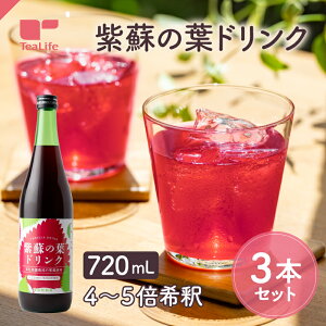 _Gߌ^h̗thN 720ml hW[X V\W[X W[X Y ċG n[u Zk t ߃^Cv ϔ ACX zbg eB[Ct