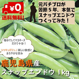 楽天市場 野菜 きのこ えんどうの種類スナップえんどう 食品 の通販