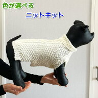 ●編み針セット 毛糸 エブリディソリッドで編むアラン模様が素敵な中型犬用ドッグウェア 犬の服 手編みキ…