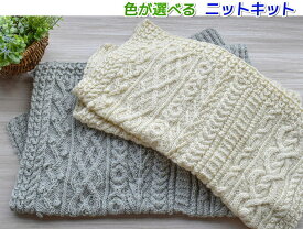 毛糸 エブリディアルパカで編むアラン模様が素敵なブランケット セット 手編みキット 内藤商事 おくるみ ナスカ 編み図 編み物キット