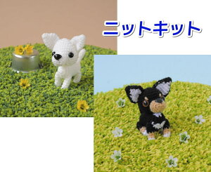 ق݂fUCI sbRŕ҂ރ`݂̂ ю Zbg ҂ݕ Lbg ҂݂݃Lbg n}iJ j҂   