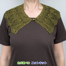 ●編み針セット●エミーグランデで編むパイナップル模様の大きなつけ襟 手編みキット 毛糸 オリムパス 編みものキット 編み図 クロッシェ