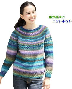 毛糸 野呂英作のくれよんで編む丸ヨークのセーター セット ウール 手編みキット 無料編み図 編み物キット