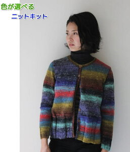 ●編み針セット●野呂英作のシルクガーデンファインで編むカーディガン 手編みキット 編み図 編みものキット