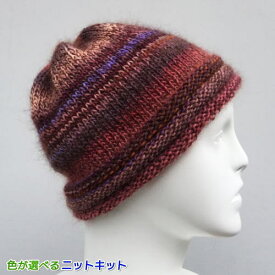 ドミナで編むシンプルな帽子 手編みキット ダイヤ毛糸 無料編み図 編みものキット 人気キット セット ニットキット