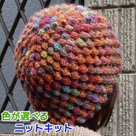 編み物キット ニット帽 毛糸 メイクメイクで編むかぎ針編みパプコーンの帽子 手編みキット オリムパス 無…