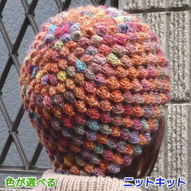 ●編み針セット●メイクメイクで編むかぎ針編みパプコーンの帽子 手編みキット オリムパス 無料編み図 編みものキット