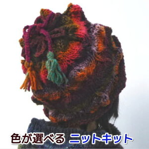 野呂英作のくれよんで編むスパイキー柄の帽子 手編みキット 編み図 編みものキット