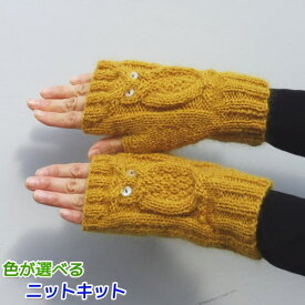 ドミナノームで編むフクロウの指なし手袋 手編みキット ダイヤ毛糸 人気キット 動物 無料編み図 編みものキット ニットキット