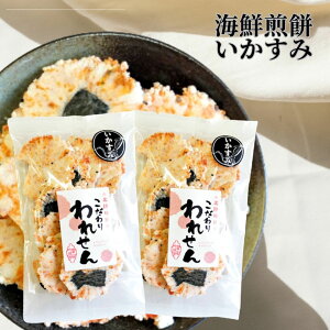賞味期限 間近 せんべい 訳あり いかすみ 2袋 セット イカ墨 送料無料 割れせんべい 海鮮せんべい ワケあり おせんべい 食品 お試し われせん アウトレット お土産 誕生日 お菓子 プレゼント