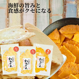 せんべい 訳あり たこ 2袋 明太 1袋 セット 送料無料割れせんべい 海鮮せんべい ワケあり おせんべい 食品 お試し われせん アウトレット スイーツ お土産 誕生日 お菓子 プレゼント おいしい 美味しい 珍しいせんべい お菓子送料無料 通販 人気ランキング たこせん