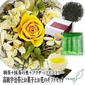 47g̗12{ vU[uht[ MtgZbg yzցz 2025  Ԃ  { F vU[ht[{bNX ԂƂَq 60  ̂  t[Mtg 