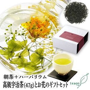 (47g)En[oE(fUC͂C)̃MtgZbgyzցzΕ 2025  Ԃ a  { a  t[Mtg ԃMtg  eB[ a aZb