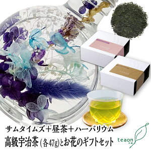 T^CY(47g)E(47g)En[oE(fUCC)̃MtgZbgyzցz 2025 Ԃ a  a  t[Mtg ԃMtg noE    {