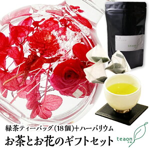 ΒeB[obO(3g×18)En[oE(fUC͂C)̃MtgZbgyzցznEB 2025  Ԃ a  a t[Mtg ԃMtg  egeB[obO 