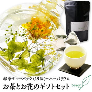 ΒeB[obO(3g×18)En[oE(fUC͂C)̃MtgZbgyzցznEB 2025  Ԃ a  a t[Mtg ԃMtg  egeB[obO 