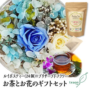 ZC{XeB[(2g×24)EvU[ugt[(fUC͂C)̃MtgZbgyzցzΕ 2025  Ԃ a  { Mtg a t[Mtg ԃMtg  