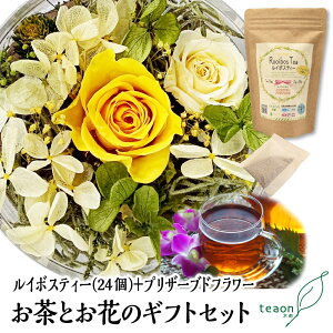 ZC{XeB[(2g×24)EvU[ugt[(fUC͂C)̃MtgZbgyzցzΕ 2025  Ԃ a  { Mtg a t[Mtg ԃMtg  