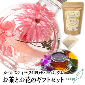 ZC{XeB[(2g×24)En[oE(fUC͂C)̃MtgZbgyzցzΕ 2025  Ԃ a  { Mtg a  t[Mtg ԃMtg o 