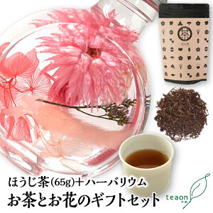 ق65gEn[oE(fUC͂C)̃MtgZbgyzցzΕ 2025  Ԃ a  { Mtg a s  t[Mtg  ԂDwɂD