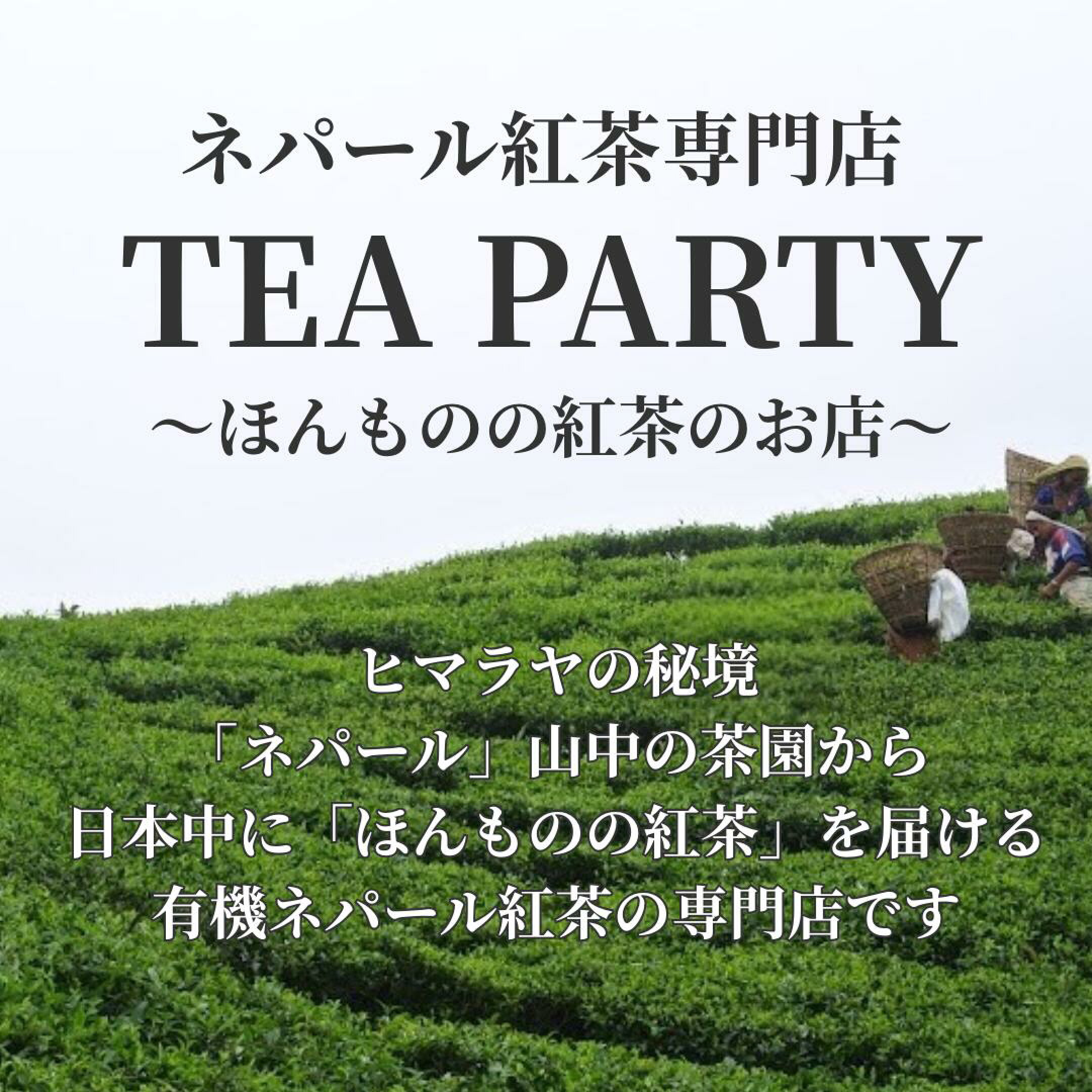 ネパール紅茶専門店～ほんものの紅茶のお店～　ヒマラヤの秘境ネパール山中の茶園から日本中に『ほんものの紅茶』を届ける、有機ネパール紅茶の専門店です。