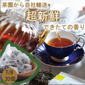2023年新茶【ほんものの紅茶　緑　ティーバッグ（20個）業務用透明袋】　イラム紅茶　スルヤダヤ茶園　ネパール紅茶　水出し紅茶にも最適