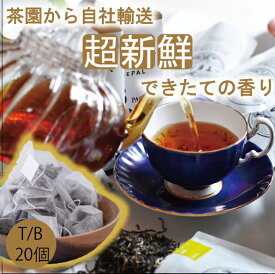 2023年新茶【ほんものの紅茶　黄　ティーバッグ（20個）業務用透明袋】　イラム紅茶　アンボート茶園　ネパール紅茶　水出し紅茶にも最適