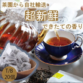 2023年新茶【ほんものの紅茶　灰色　ティーバッグ（20個）業務用透明袋】　イラム紅茶　ミストバレー茶園　ネパール紅茶　水出し紅茶にも最適