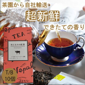 2023年新茶【ほんものの紅茶　赤　ティーバッグ（10個）箱入り】　ネパールティ茶園　ネパール紅茶