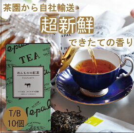 2023年新茶【ほんものの紅茶　緑　ティーバッグ（10個）箱入り】　イラム紅茶　スルヤダヤ茶園　ネパール紅茶　水出し紅茶にも最適