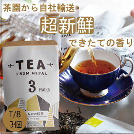 2023年新茶【ほんものの紅茶　黄　ティーバッグ（3個）チャック袋】　イラム紅茶　アンボート茶園　ネパール紅茶　水出し紅茶にも最適