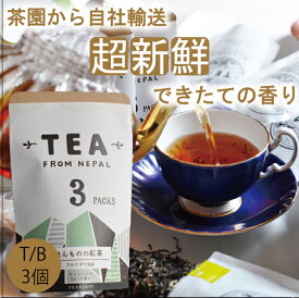 2023年新茶【ほんものの紅茶　緑　ティーバッグ（3個）チャック袋】　イラム紅茶　スルヤダヤ茶園　ネパール紅茶　水出し紅茶にも最適